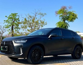 长城weyp8,长城wey商务车