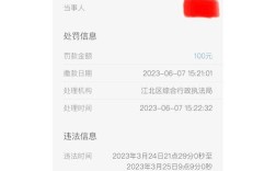 宁波交通违章查询系统,宁波交通违章最快查询