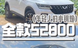 五菱530五座报价图片／五菱5座suv报价和图片