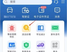 佛山交通违章查询(佛山交通违章查询123)