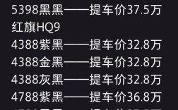 红旗h9新款2024款 2021年21款红旗h9多少价