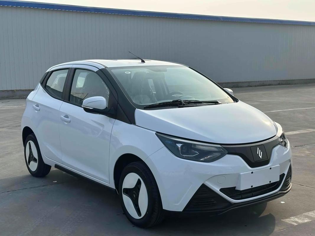 一万多左右的电动汽车/一万多左右的电动汽车有哪些