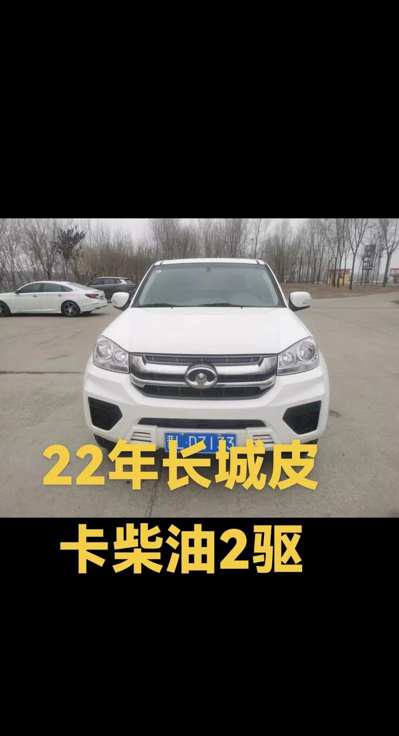 柴油两驱皮卡多少钱(柴油皮卡两驱和四驱的优缺点)