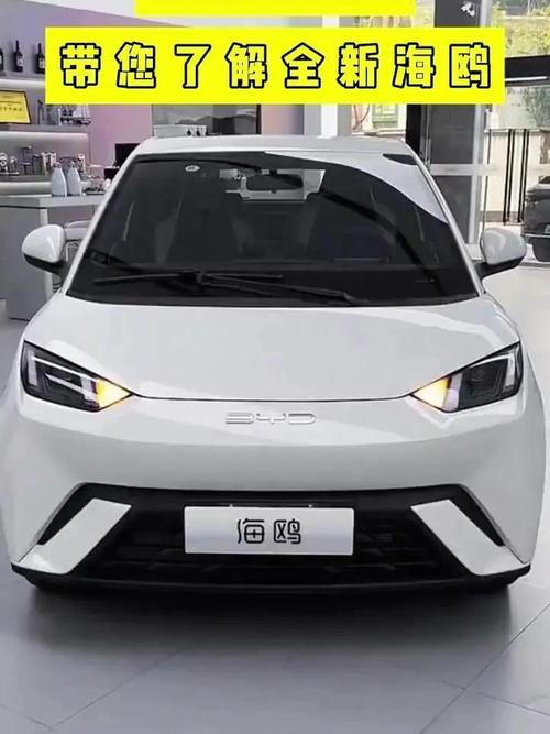 比亚迪海鸥报价及图片/比亚迪海鸥报价及图片及价格